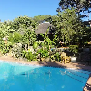 https://birdsnest-guest-accommodation.hotels-capetown.com